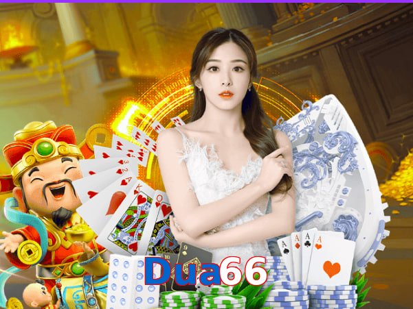 Dua66